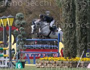 Arioldi R Utile TosTour 2013- S5 7162 : Arezzo Equestrian Centre, Arioldi Roberto, Toscana Tour 2013, Utile, foto di Stefano Secchi ©